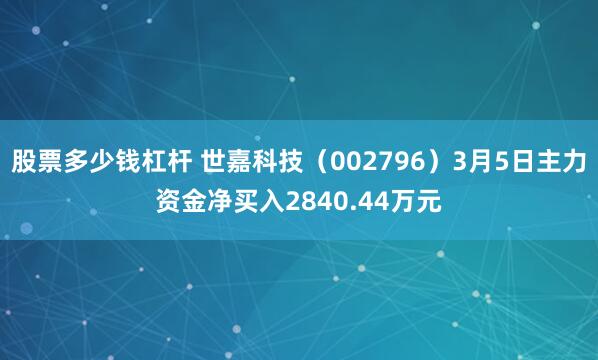 股票多少钱杠杆 世嘉科技（002796）3月5日主力资金净买入2840.44万元