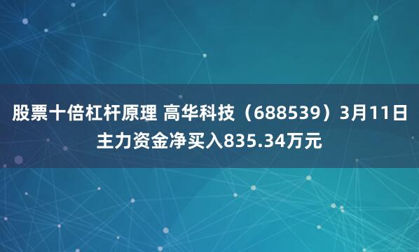 股票十倍杠杆原理 高华科技（688539）3月11日主力资金净买入835.34万元