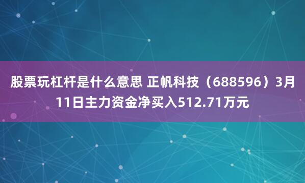 股票玩杠杆是什么意思 正帆科技（688596）3月11日主力资金净买入512.71万元