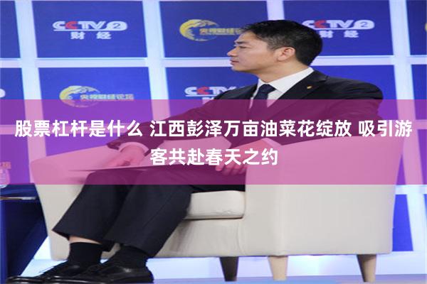 股票杠杆是什么 江西彭泽万亩油菜花绽放 吸引游客共赴春天之约