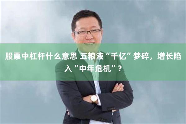 股票中杠杆什么意思 五粮液“千亿”梦碎，增长陷入“中年危机”？