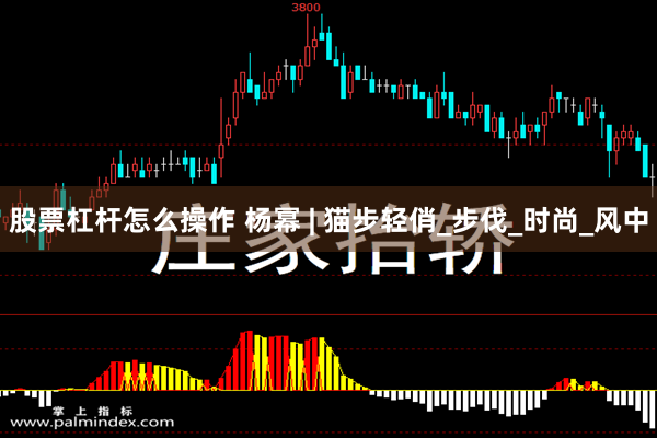 股票杠杆怎么操作 杨幂 | 猫步轻俏_步伐_时尚_风中