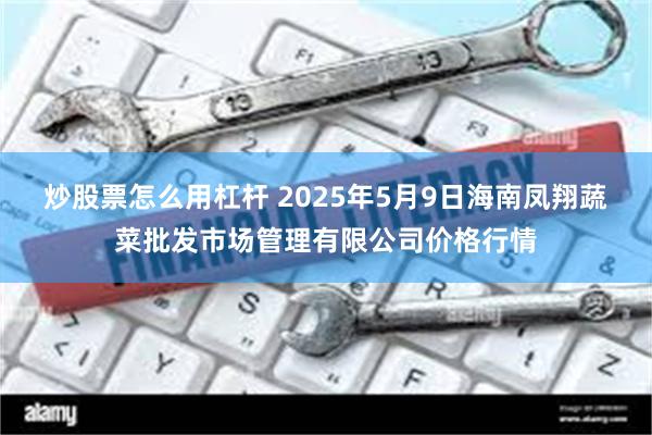 炒股票怎么用杠杆 2025年5月9日海南凤翔蔬菜批发市场管理有限公司价格行情