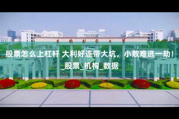 股票怎么上杠杆 大利好连带大坑，小散难逃一劫！_股票_机构_数据