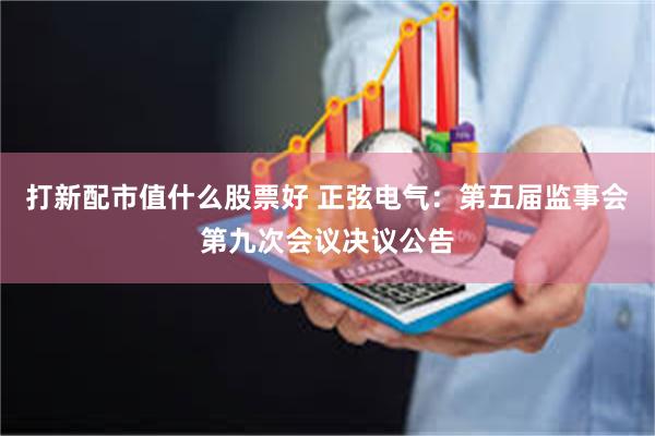 打新配市值什么股票好 正弦电气：第五届监事会第九次会议决议公告