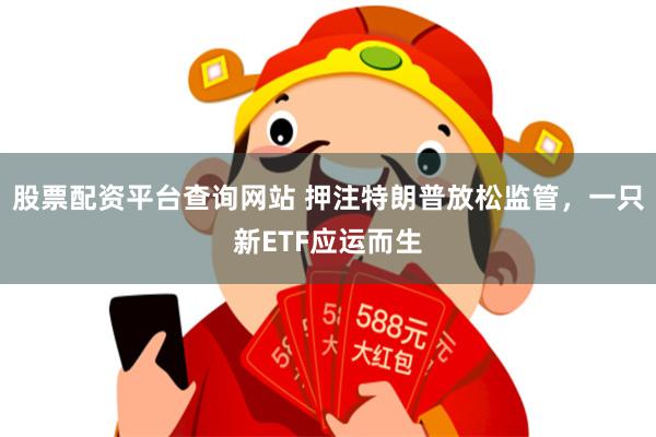 股票配资平台查询网站 押注特朗普放松监管，一只新ETF应运而生