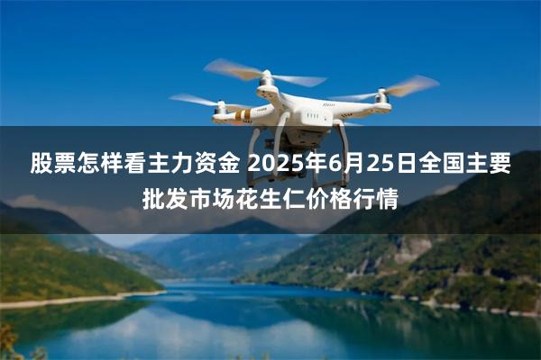 股票怎样看主力资金 2025年6月25日全国主要批发市场花生仁价格行情