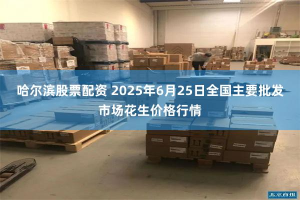 哈尔滨股票配资 2025年6月25日全国主要批发市场花生价格行情